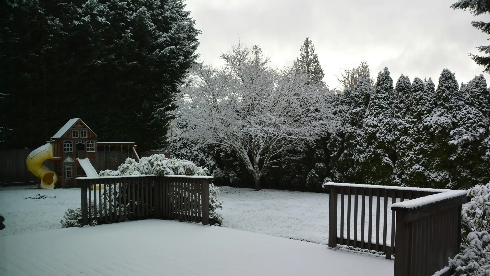 Snow-covered backyard deck and fence in an Ottawa winter