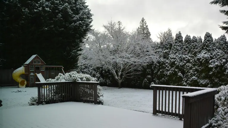 Snow-covered backyard deck with dark railings surrounded by winter trees